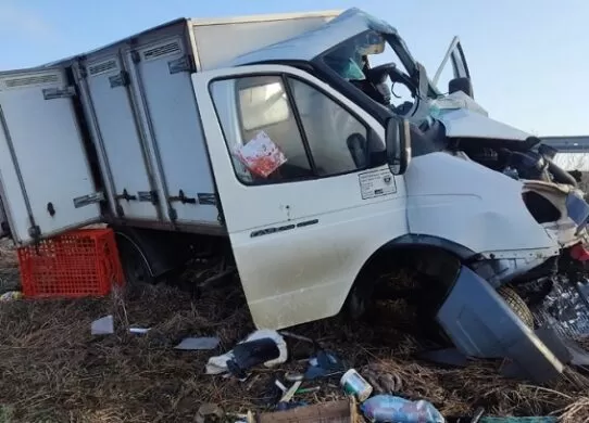 На Житомирщині «Газель» зіткнулася з опорою і перекинулась