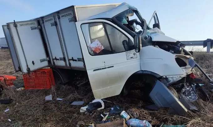 На Житомирщині «Газель» зіткнулася з опорою і перекинулась