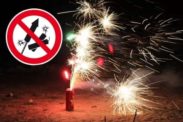 Без піротехніки та з обмеженням в пересуванні: поліція Житомирщини нагадала про правила в новорічну ніч