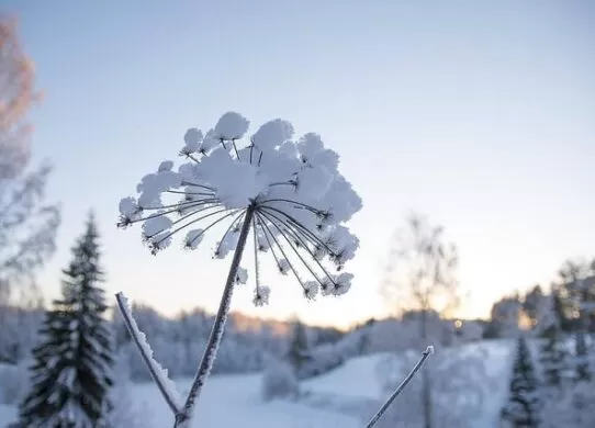 Прогноз погоди