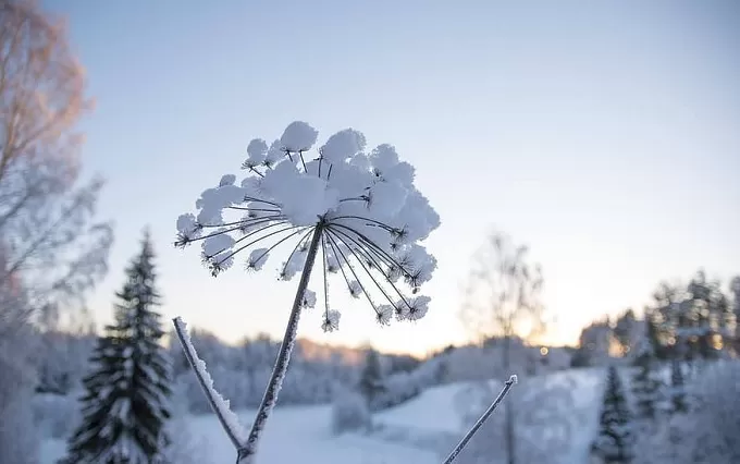 Прогноз погоди
