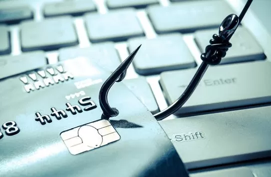 Мешканка Житомирської області натрапила на шахраїв в Інтернеті при спробі продати баян