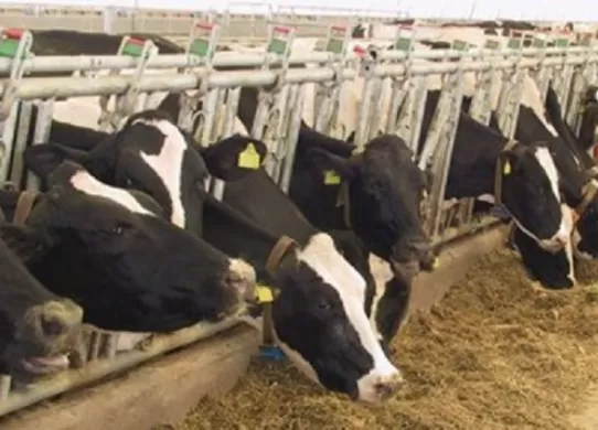 На Житомирщині службовці заволоділи бюджетними коштами