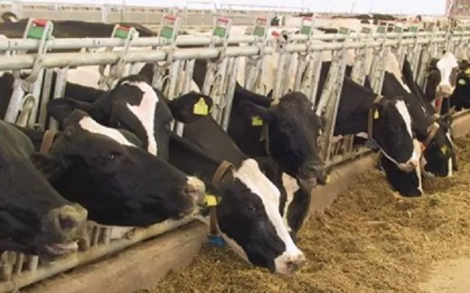 На Житомирщині службовці заволоділи бюджетними коштами