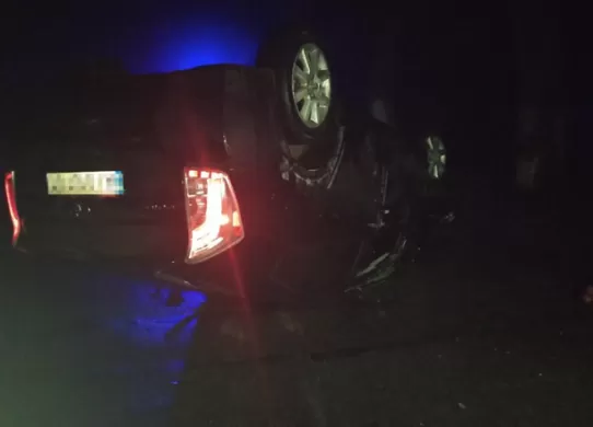 У Житомирській області п'яний водій в'їхав у дерево