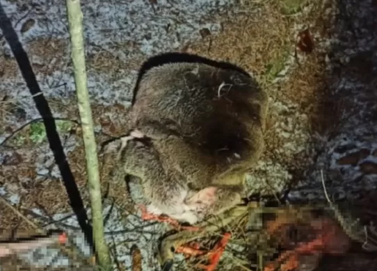 У Житомирській області затримали браконьєрів