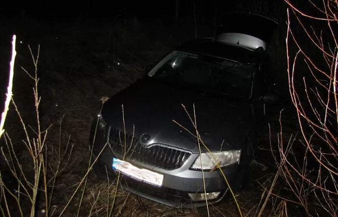 На Житомирщині нетверезий водій з’їхав у кювет