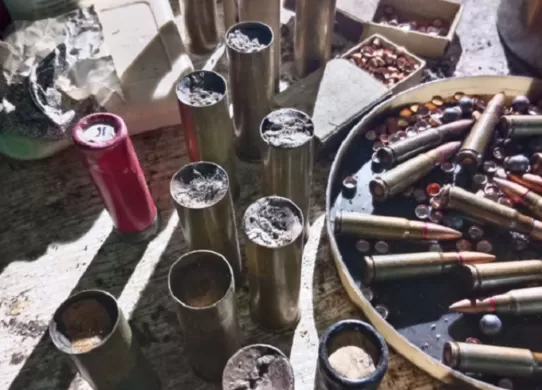 На Житомирщині поліцейські перевіряли будинок на наявність наркотиків, а знайшли вибухівку