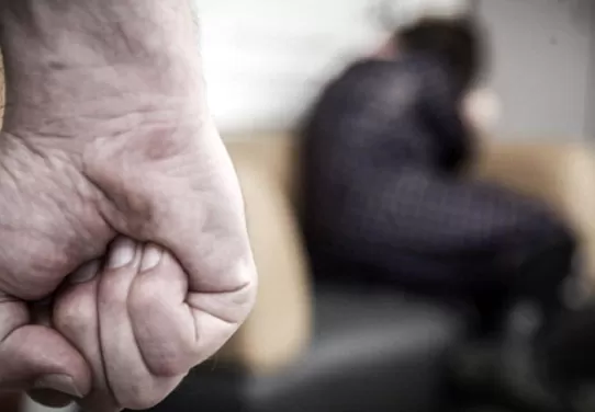 На Житомирщині затримали двох чоловіків через домашнє насильство