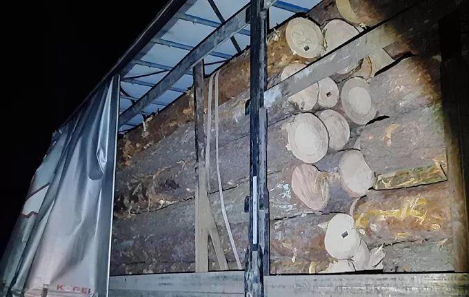 У Житомирській області виявили вантажівку, яка перевозила незаконні рубки