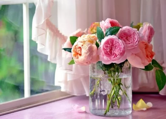 Які квіти стоять довго у вазі