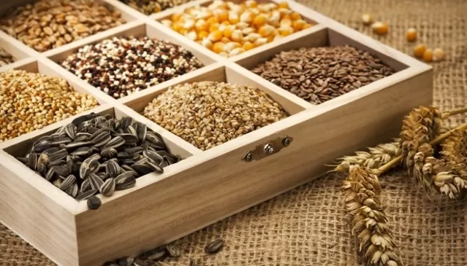 Хочете купити насіння з доброю схожістю – інтернет-магазин Good Harvest стане у нагоді