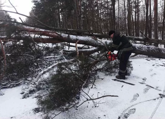 Через негоду на Житомирщині залишилося без світла 6 населених пунктів