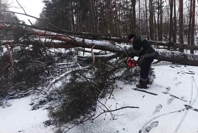 Через негоду на Житомирщині залишилося без світла 6 населених пунктів