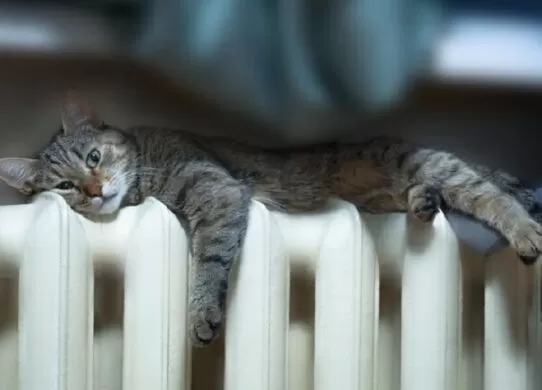 Коли завершиться опалювальний сезон у Житомирі?