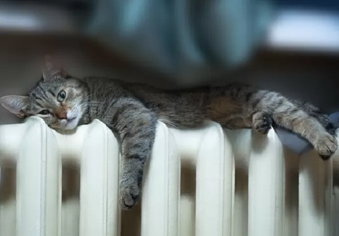 Коли завершиться опалювальний сезон у Житомирі?