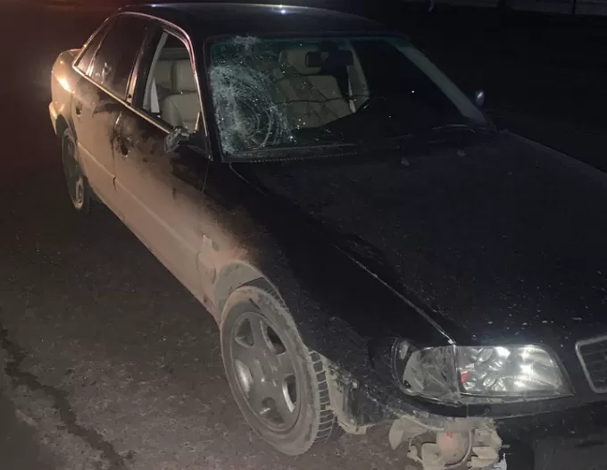 На Житомирщині водій іномарки збив насмерть пішохода