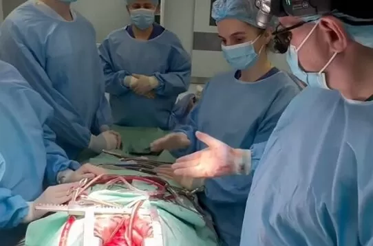 У Житомирі вперше трансплантували серце