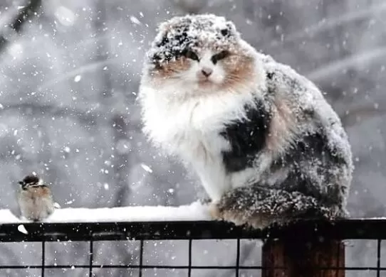 У Житомирській області прогнозують погіршення погоди