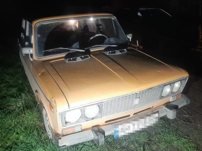 На Житомирщині затримали зловмисника, який збив пішохода на смерть та втік