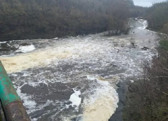 Піна на річці Тетерів на Житомирщині утворилася внаслідок аерації води