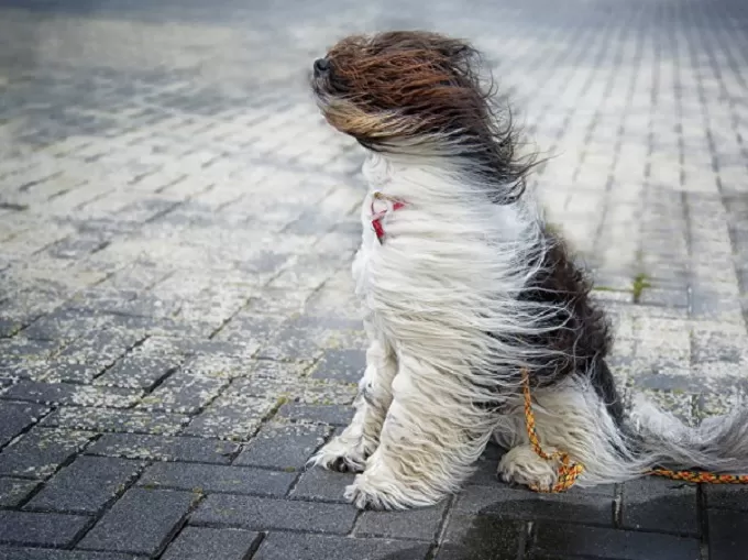 У Житомирі прогнозують погіршення погодних умов