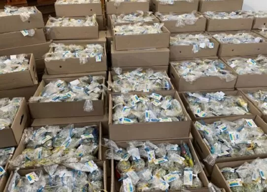 З Житомира українським військовим відправили 3000 пасок