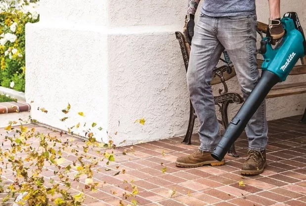 Воздуходувки