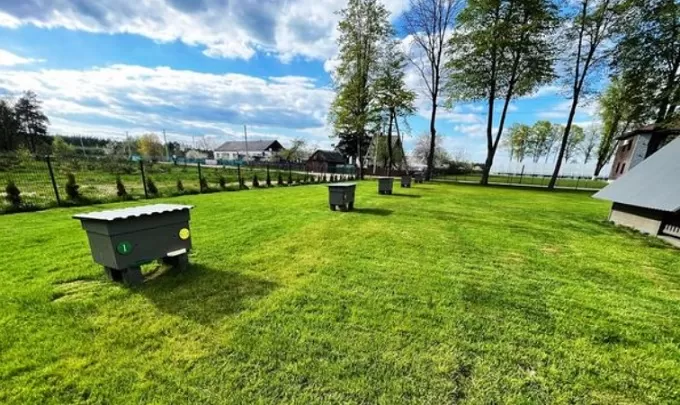 У Житомирській області впроваджують вуликотерапію