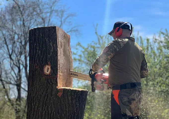 У Житомирському парку військовий виготовляє скульптуру з дерева та збирає донати на ЗСУ