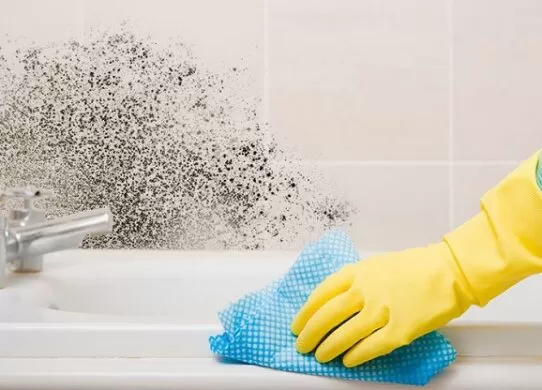 Як прибрати цвіль у ванній кімнаті за допомогою домашніх засобів