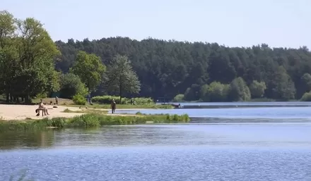 На одному з пляжів Житомирщини виявили кишкову паличку