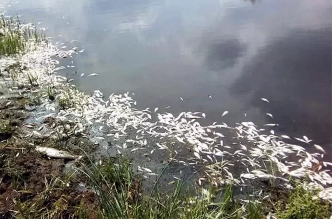 Експосадовцю на Житомирщині загрожує увʼязнення через забруднення річки Тетерів