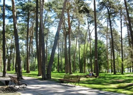 У житомирському Гідропарку планують виділити земельну ділянку для лікарні