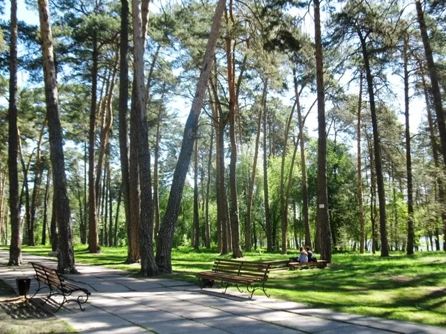 У житомирському Гідропарку планують виділити земельну ділянку для лікарні