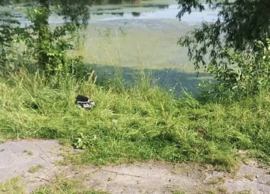 Мешканка Житомирщини до смерті забила чоловіка, а тіло скинуло до водойми
