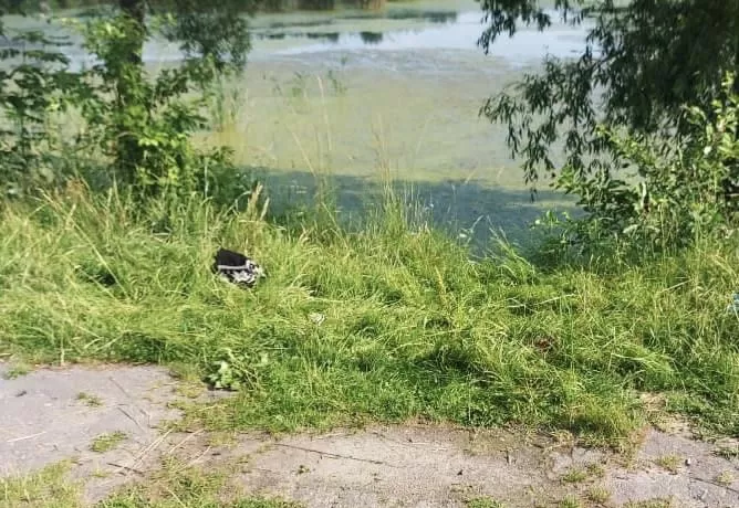 Мешканка Житомирщини до смерті забила чоловіка, а тіло скинуло до водойми