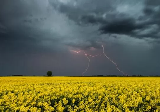 Синоптики попереджають про грозу на Житомирщині