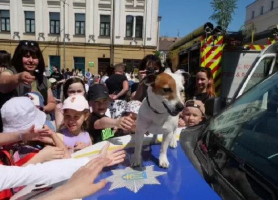 У Житомирі відзначають День захисту дітей
