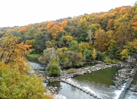 За літо на Житомирщині потонуло 11 людей