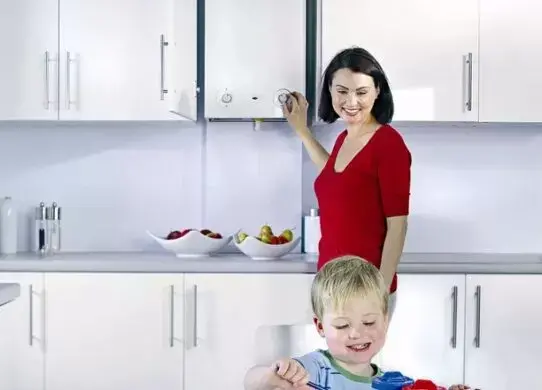 Как выбрать газовый котел для частного дома. Самые популярные модели котлов в Украине