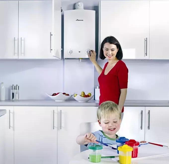 Как выбрать газовый котел для частного дома. Самые популярные модели котлов в Украине