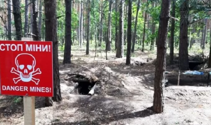 На Житомирщині заборонено відвідування лісових масивів поблизу кордону з рб