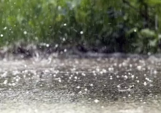 Синоптики прогнозують у Житомирській області грозу