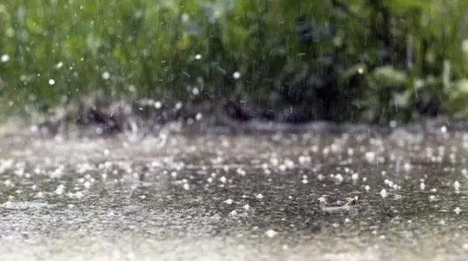 Синоптики прогнозують у Житомирській області грозу