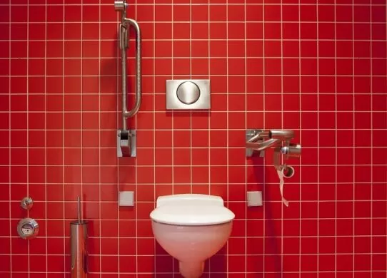 Сантехніка для туалету, нюанси вибору комплектуючих