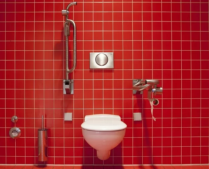 Сантехніка для туалету, нюанси вибору комплектуючих
