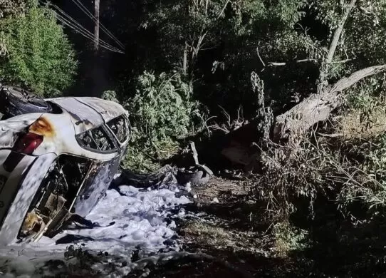 У Житомирі іномарка зіткнулася з електроопорою та деревом - загинув водій