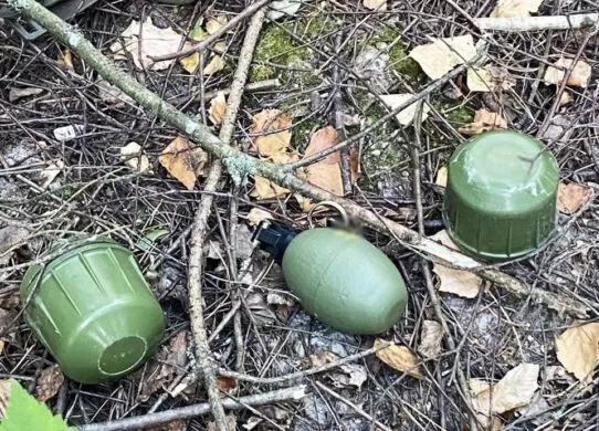 На Житомирщині зловмисник погрожував боєприпасами та викрав людину