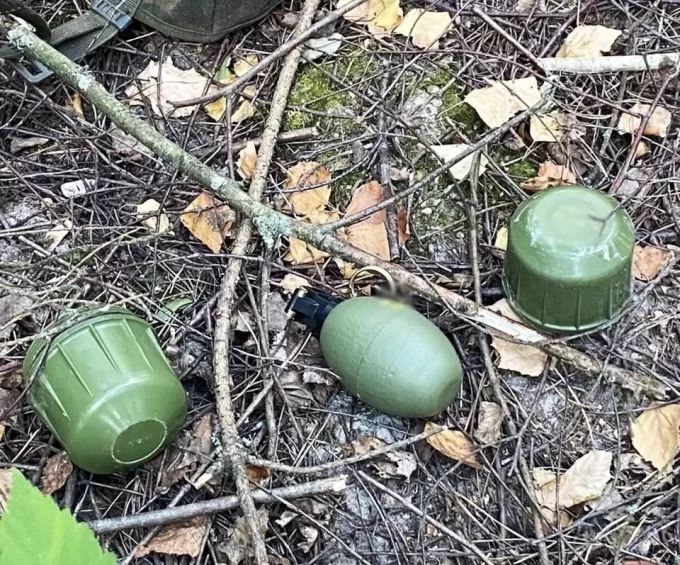 На Житомирщині зловмисник погрожував боєприпасами та викрав людину